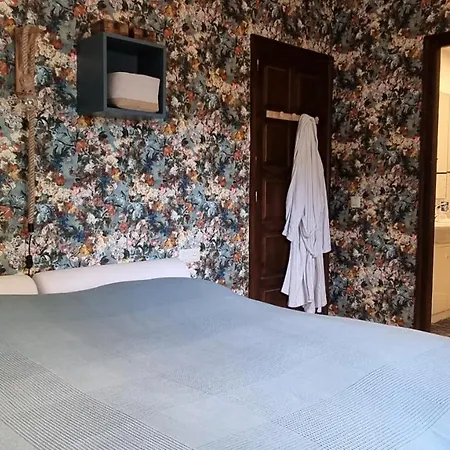 Casa Coene