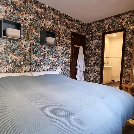 Casa Coene Пальс