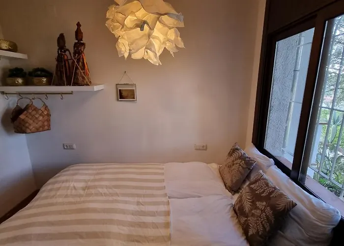 Casa Coene *